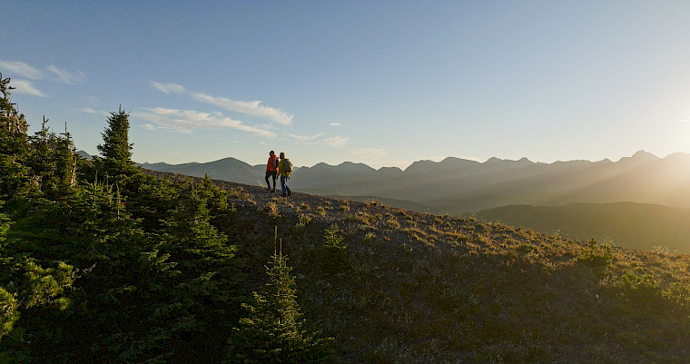 Knieprothesen und Hüftprothesen mit agile+®