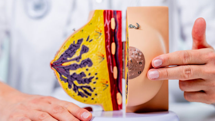 Consapevolezza sul cancro al seno in ottobre: fiocco rosa e simboli delicati per promuovere prevenzione e diagnosi precoce.